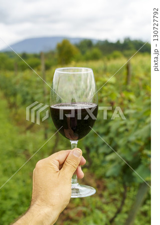 Hand Holding Red Wine Glass in Vineyard on a Summer Day 130727792