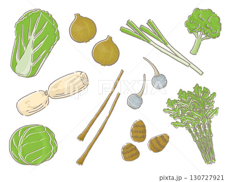 いろいろな野菜のイラスト 130727921