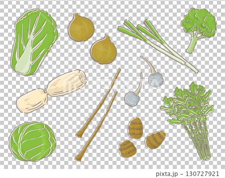 Illustration of various vegetables 130727921