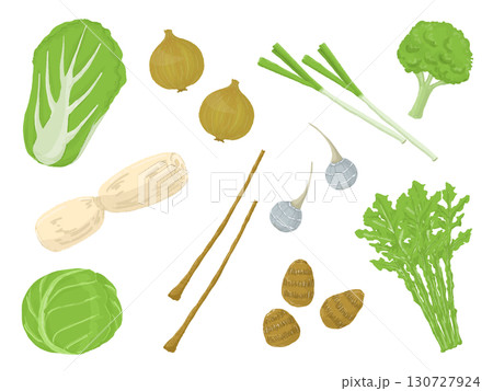 いろいろな野菜のイラスト 130727924