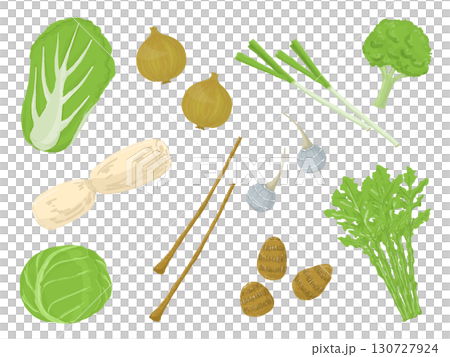 各種蔬菜的插圖 130727924