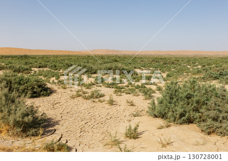 Arid desert landscape with cracked earth and shrubs in Faryab Province of Afghanistan 130728001