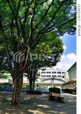 砧公園内にある世田谷美術館 130728037