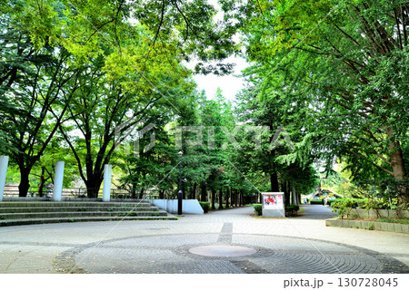 砧公園内にある世田谷美術館 砧公園内にある世田谷美術館 130728045