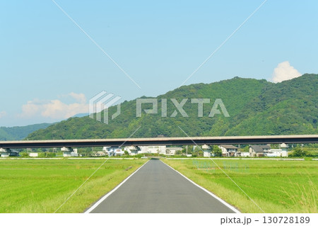 夏の青空と田園風景 夏の青空と田園風景 130728189