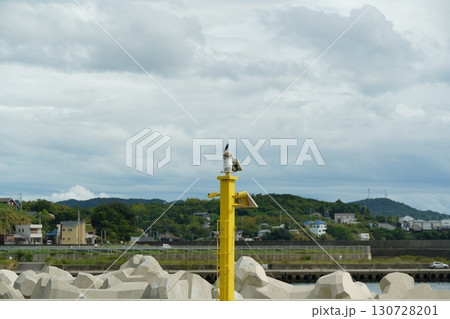 黄色の防波堤灯で休む鳥 黄色の防波堤灯で休む鳥 130728201