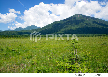 夏の戦場ヶ原と男体山 130728405