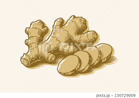 Hand-drawn ginger root with slices shown in detailed vintage sketch style on beige background, representing herbal or culinary concept 130729009