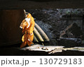 ベンメリア遺跡の枯葉と蜘蛛の巣 130729183