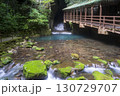 秋芳洞正面入り口 130729707