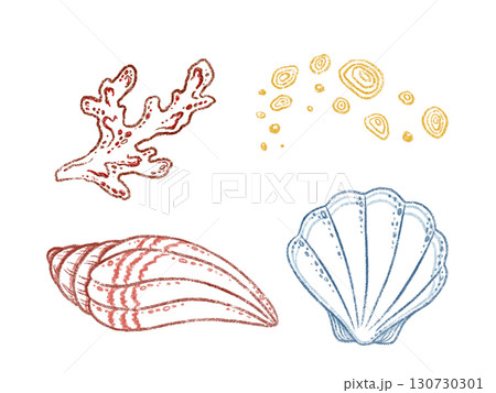 Outline set of seashell with coral and sand in hand drawn line art. Blue and red marine life in colored pencil sketch style. Great for summer card or poster design. Perfect for coastal print artwork. 130730301
