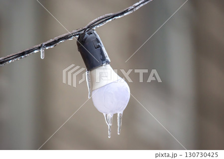 Icicles drip from a light bulb on a frosty wire, set against a warm, blurred backdrop Icicles drip from a light bulb on a frosty wire, set against a warm, blurred backdrop 130730425