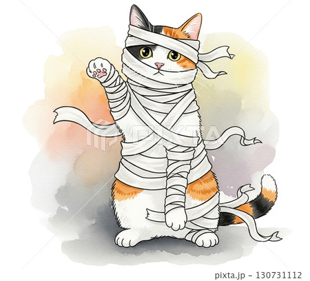 A Calico cat wrapped with a bandage A Calico cat wrapped with a bandage 130731112