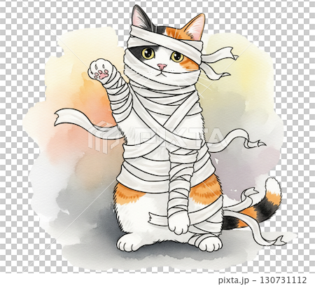 A Calico cat wrapped with a bandage A Calico cat wrapped with a bandage 130731112