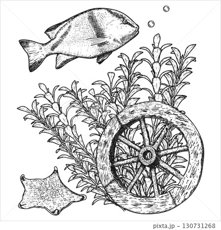 Sea composition with fish,starfish, old wooden ship steering wheel and seaweed. Sea bottom. Hand drawn vector illustration. 130731268