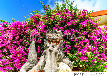 シーサーとブーゲンビリア 130731543