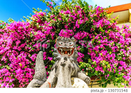 シーサーとブーゲンビリア シーサーとブーゲンビリア 130731548