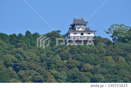 岩国城は、錦川を天然の外堀にした山城である 130731615
