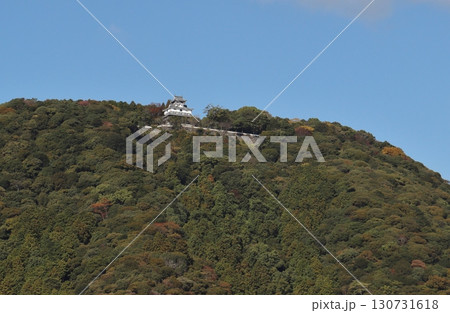 岩国城は、錦川を天然の外堀にした山城である 岩国城は、錦川を天然の外堀にした山城である 130731618