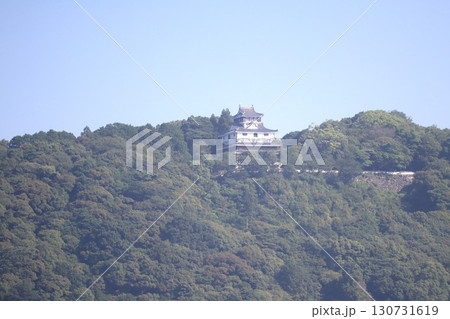 岩国城は、錦川を天然の外堀にした山城である 岩国城は、錦川を天然の外堀にした山城である 130731619