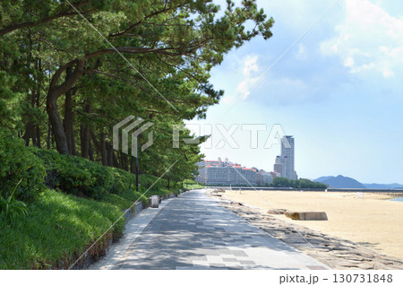 シーサイドももち海浜公園で見た風景 130731848