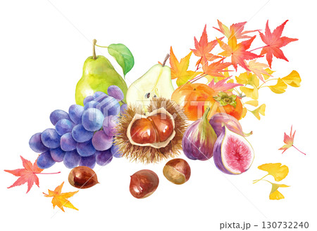 紅葉を背景にした秋冬のフルーツの集合。栗、柿、イチジク、洋梨、ブドウの水彩イラスト。  130732240