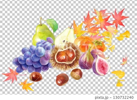 紅葉を背景にした秋冬のフルーツの集合。栗、柿、イチジク、洋梨、ブドウの水彩イラスト。  130732240