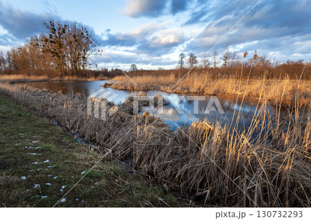 A pond with dry reeds during sunset A pond with dry reeds during sunset 130732293