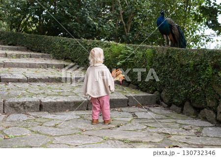 toddler walking in autumn park and collecting leaves toddler walking in autumn park and collecting leaves 130732346