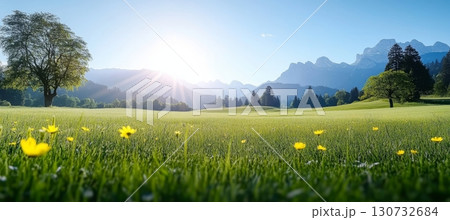 Breathtaking Scenic View of a Lush Green Meadow Filled with Colorful Wildflowers Under a Vibrant Sky 130732684