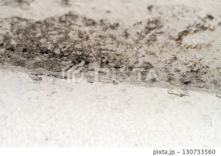Macro shooting of mold and fungus on bathroom wall Macro shooting of mold and fungus on bathroom wall 130733560