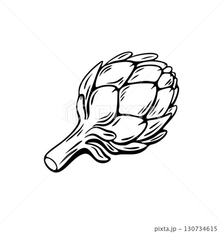 Engraved artichoke sketch for Mediterranean food and coloring 130734615