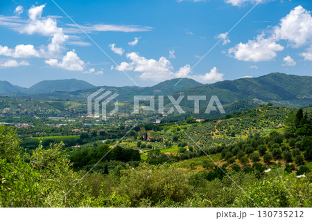 Scenic landscape of northern Tuscany, Italy, featuring vineyards, olive groves, and traditional countryside houses with hills and green mountains in the background. 130735212