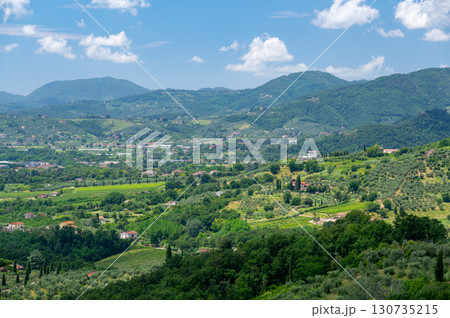 Scenic landscape of northern Tuscany, Italy, featuring vineyards, olive groves, and traditional countryside houses with hills and green mountains in the background. 130735215