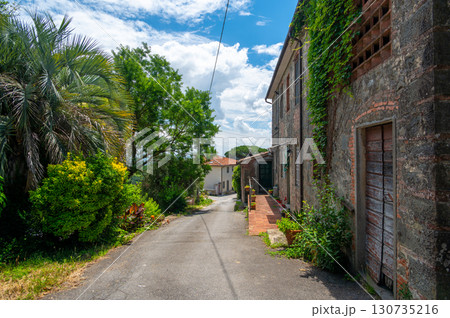 Charming Tuscan alley with a brick house on one side and blooming greenery on the other. A peaceful summer scene capturing the rustic beauty of traditional Italy. 130735216