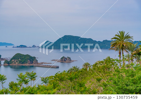 【宮崎県日南市】ジャカランダの森(有用植物園)から眺める外浦の海 【宮崎県日南市】ジャカランダの森(有用植物園)から眺める外浦の海 130735459