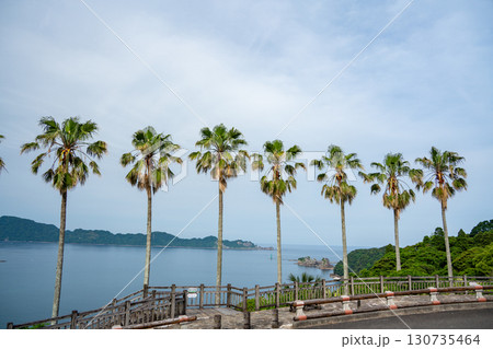 【宮崎県日南市】ジャカランダの森（有用植物園）から眺める外浦の海 130735464