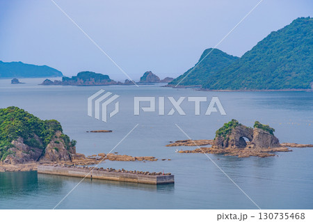 【宮崎県日南市】ジャカランダの森（有用植物園）から眺める外浦の海 130735468