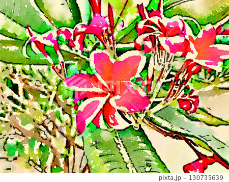 南国の赤いプルメリアの可憐な花｜癒しと彩りを届ける美しい熱帯の花｜カンボジア 130735639