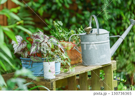 ナチュラルガーデンの寄せ植えとアンティークジョウロと緑あふれるガーデニング風景 130736365