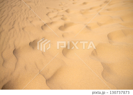 鳥取砂丘 鳥取県鳥取市 鳥取砂丘 鳥取県鳥取市 130737873