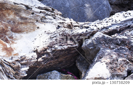 texture of drifted wood on the rocks, beautiful nature wallpaper 130738209