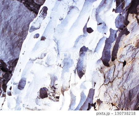 texture of drifted wood on the rocks, beautiful nature wallpaper 130738218