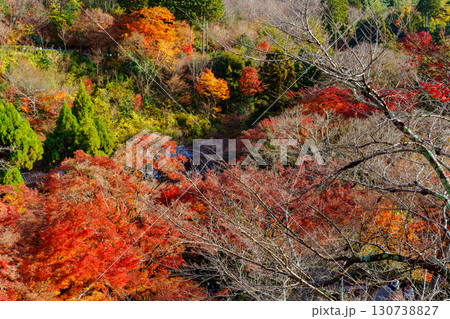 紅葉した山 音羽山 130738827