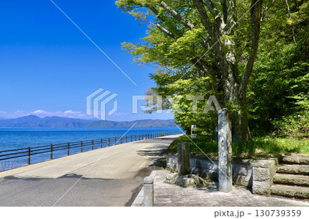 猪苗代湖と磐梯山・幕領境の大杉跡（福島県郡山市・湖南町） 130739359