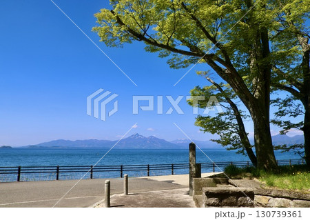 猪苗代湖と磐梯山・幕領境の大杉跡（福島県郡山市・湖南町） 130739361