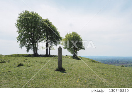 Windswept trees on top of the Iron Age earthworks of Olivers Castle, Wiltshire Windswept trees on top of the Iron Age earthworks of Olivers Castle, Wiltshire 130740830