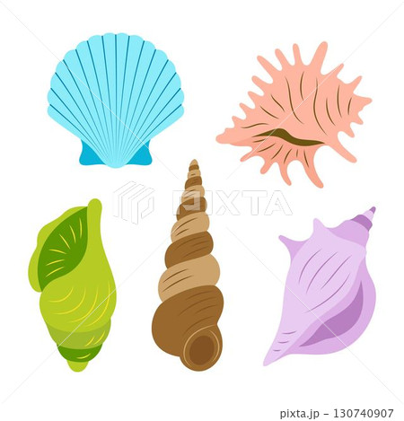 cartoon seashell set isolated cartoon seashell set isolated 130740907