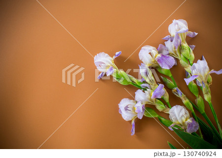 Spring irises in a minimalist composition on a brown background 130740924