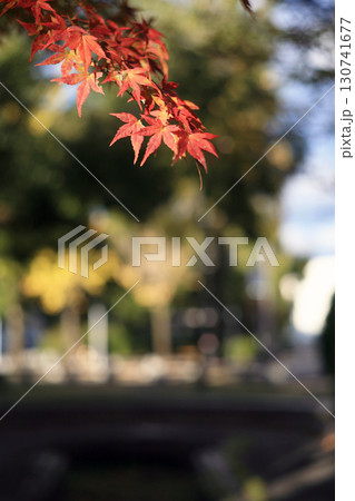 真っ赤な紅葉 真っ赤な紅葉 130741677
